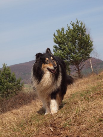 profesionální model :)